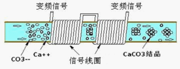 香港小龙人论坛跟澳门