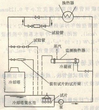 香港小龙人论坛跟澳门