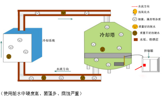 香港小龙人论坛跟澳门