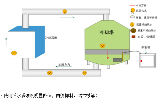 香港小龙人论坛跟澳门