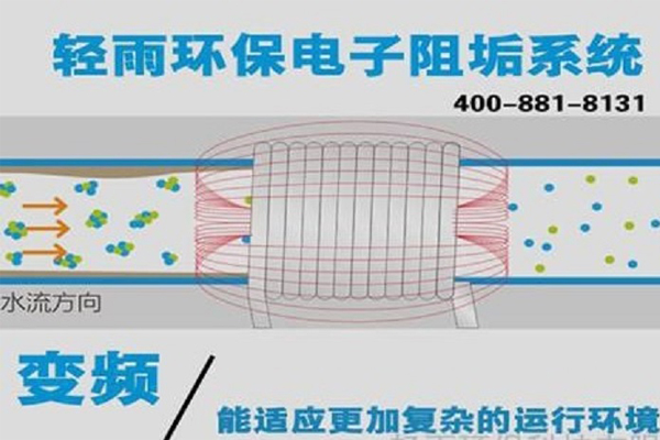 香港小龙人论坛跟澳门