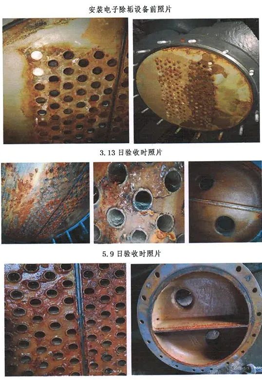 香港小龙人论坛跟澳门